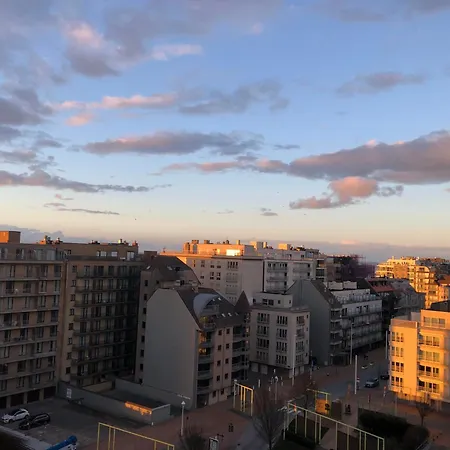 Meeuwenbank * Nieuwpoort