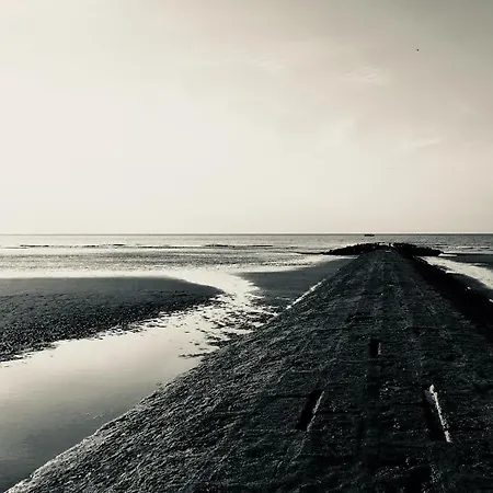 Meeuwenbank Nieuwpoort